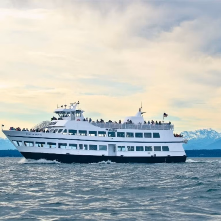 Seattle Harbor Cruise