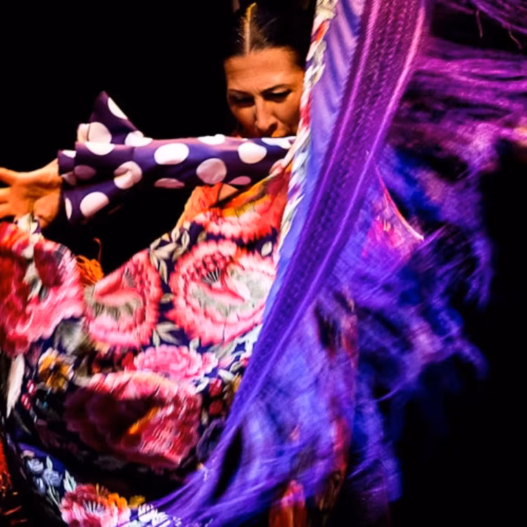 Flamenco Dance Museum: Show only