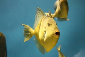 Zoos & Aquariums