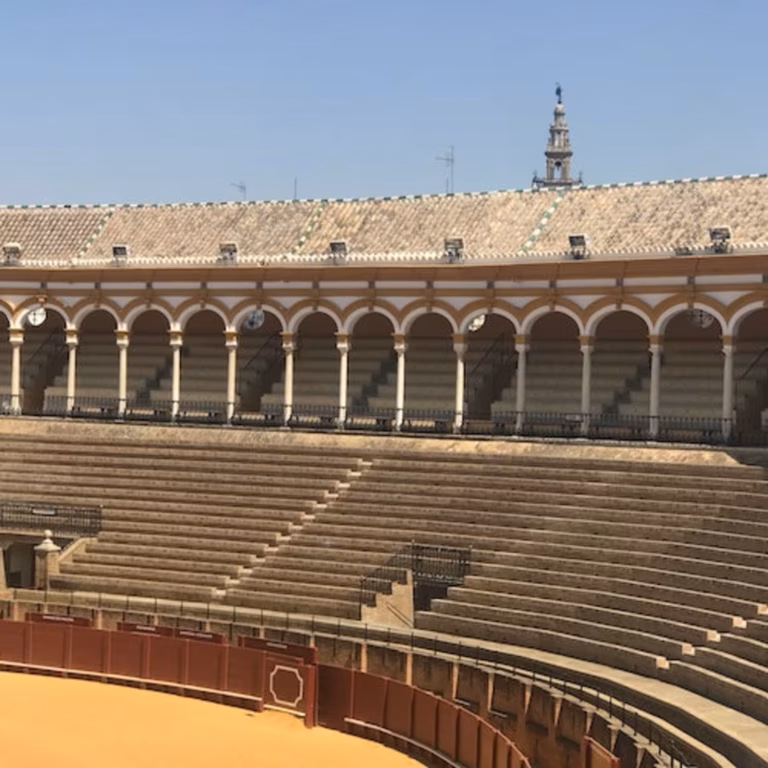 Real Maestranza: Guided tour
