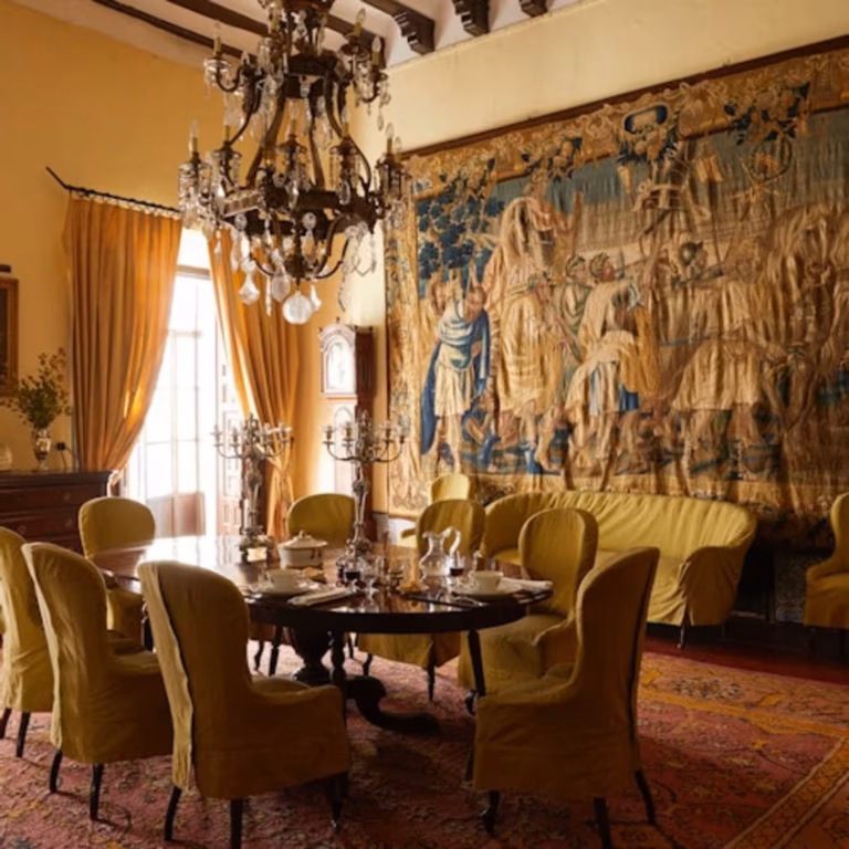 Bucarelli Palace: Home