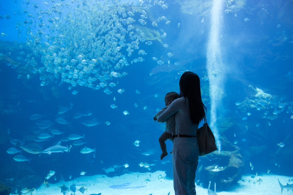 Mum,And,Baby,Standing,Near,Aquarium,Display