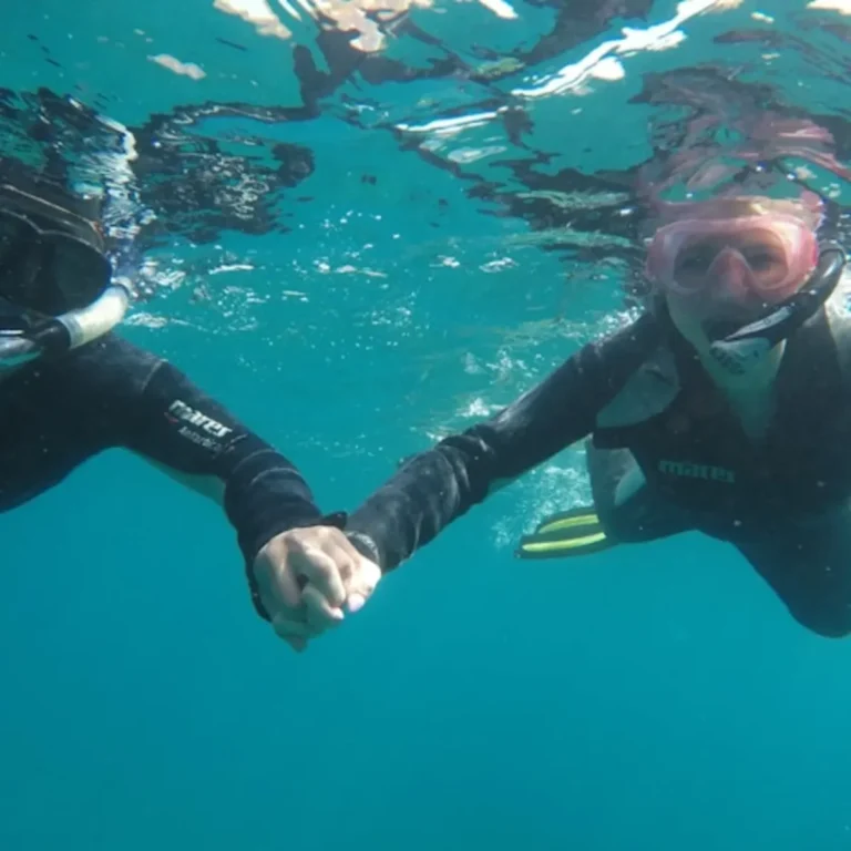 Los Cristianos: Snorkeling on a Lava Reef