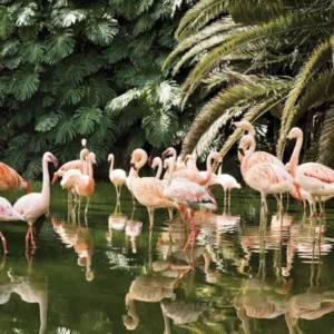 Loro Parque