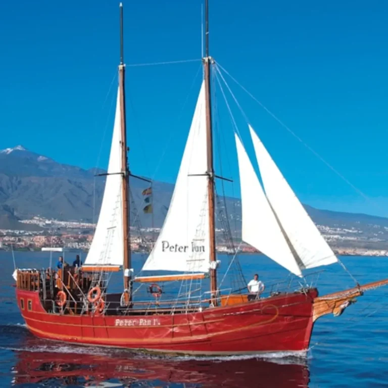 Los Cristianos: Guided whale-watching boat tour