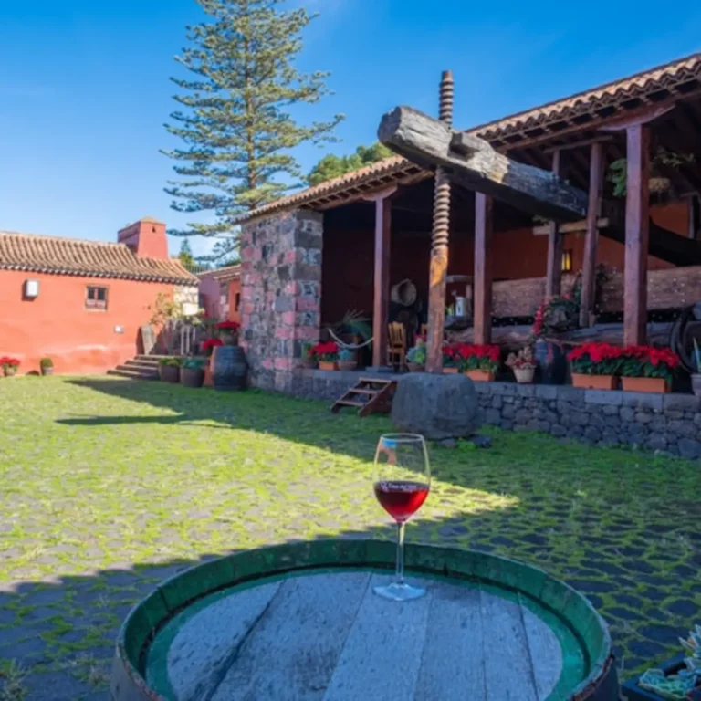 Tenerife Wine Museum: Tour and Tasting