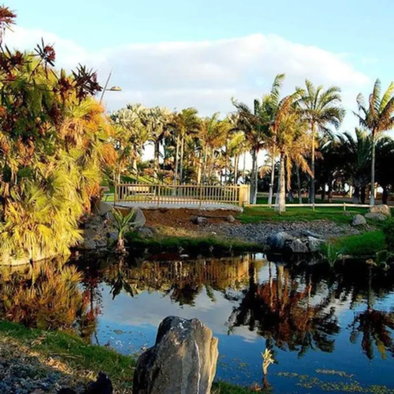 Palmetum in Santa Cruz de Tenerife: Entry Ticket