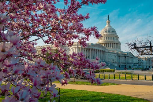Visita Washington