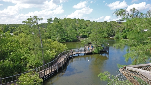 Visit Orlando - Gatorland