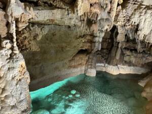 Natural Bridge Caverns Tickets