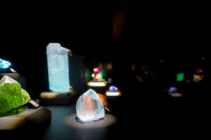 Houston Museum of Natural Science Tickets