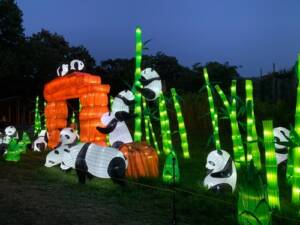 Toegangskaarten voor Franklin Park Zoo