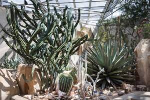 San Antonio Botanical Garden Tickets