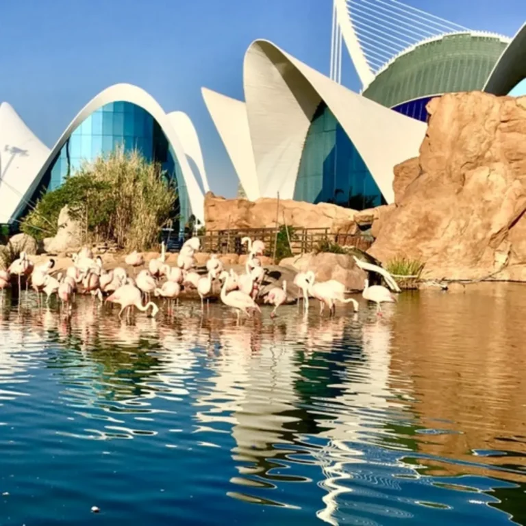 Oceanogràfic and Science Museum: Skip-The-Line Ticket