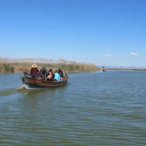 Albufera: Bus + Boat from Valencia