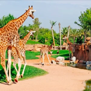 BIOPARC Valencia