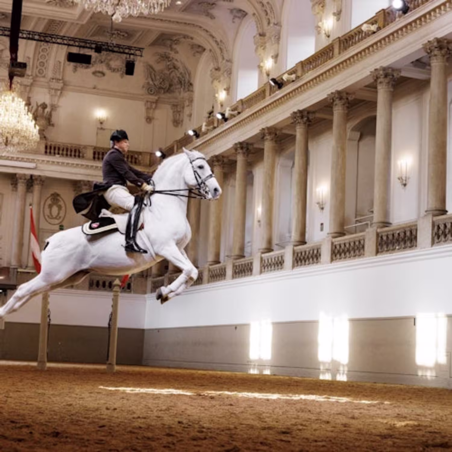 passes-lipizzaner-vorstellung-in-der-spanischen-hofreitschule
