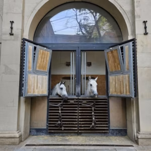 Spanish Riding School