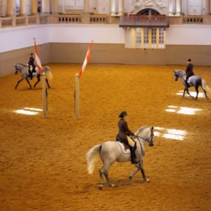 Spanish Riding School